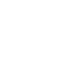 Settings Icon